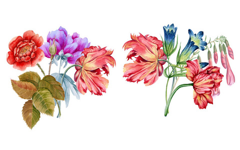 束鲜花。Batanic 水彩插图