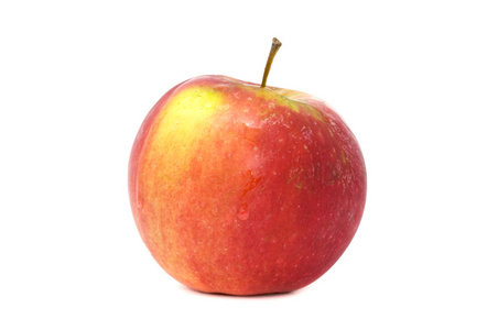 苹果 苹果树 苹果公司