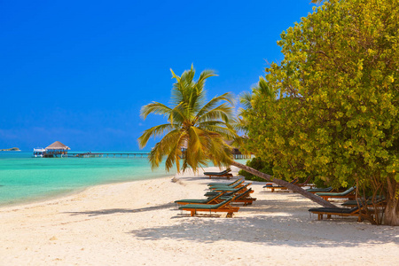 马尔代夫海滩上的躺椅