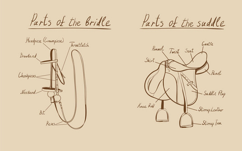 零件的马鞍和马缰绳，矢量