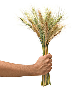以小麦作为农业礼物的农民