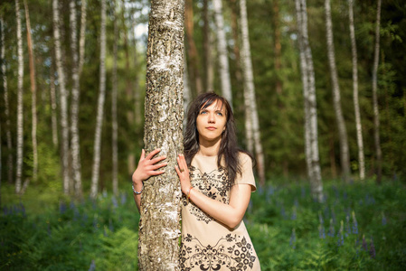 年轻的女孩，在一座森林公园拥抱白桦树和看太阳