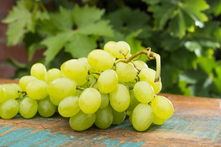 健康的水果白葡萄在葡萄树木制的桌子上