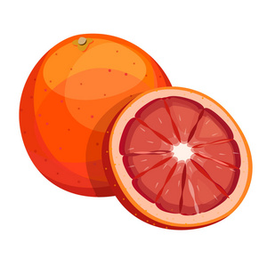 红色的橙色，矢量，水果，白色背景上孤立