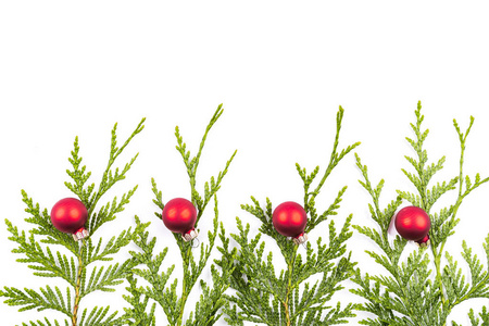 圣诞节树分支和红球