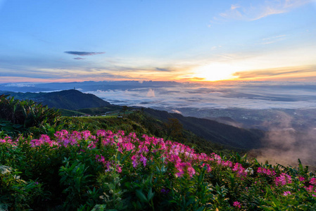 高山的雾海