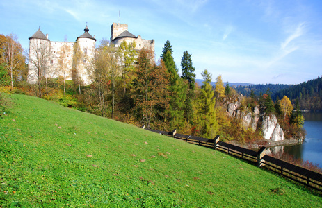 尼德齐卡的城堡。 波兰