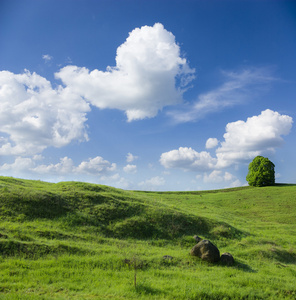 风景 风景画 乡村风景画 地形