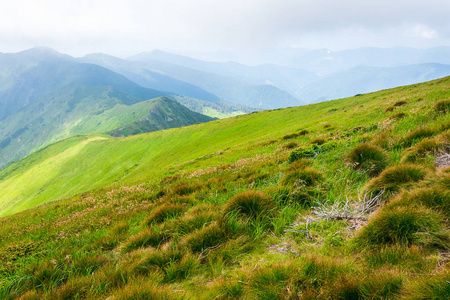 旅游，徒步旅行，自然。雄伟壮观 高绿山。水平框架