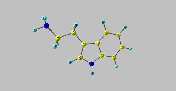 色胺分子结构上灰色孤立