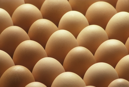 乡下棕色的蛋排成一排