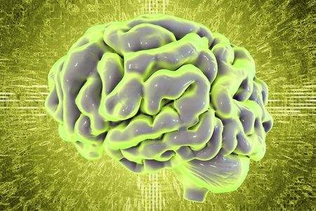 人类大脑的彩色背景，3d 图