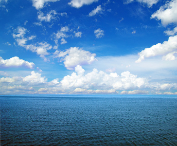 海 海洋 许多 大量