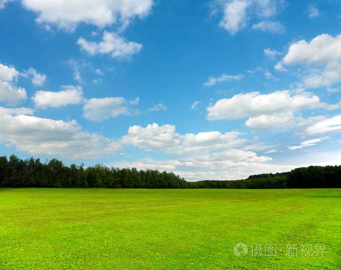 美丽的绿野和蓝天