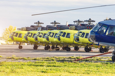 几个直升机停放在机场维修保养图片