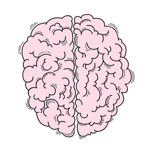 人类的大脑，为医疗设计的