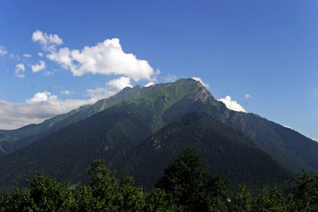 青山绿水