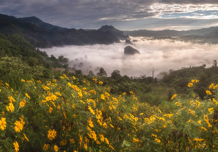 晨雾与山层瑶省，泰国