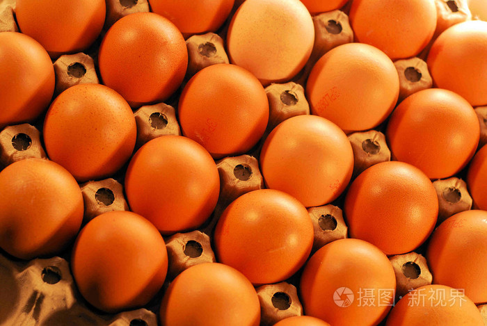 卵( egg的名词复数 ) 蛋 卵子 卵