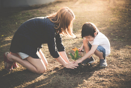 亚洲母子一起在黑土种植幼树