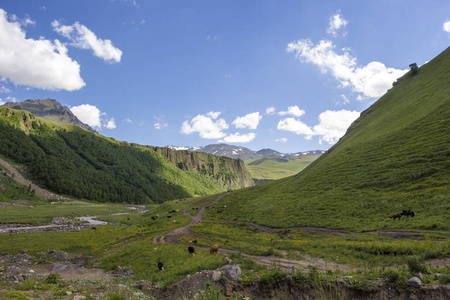 在风景如画的峡谷高岩石