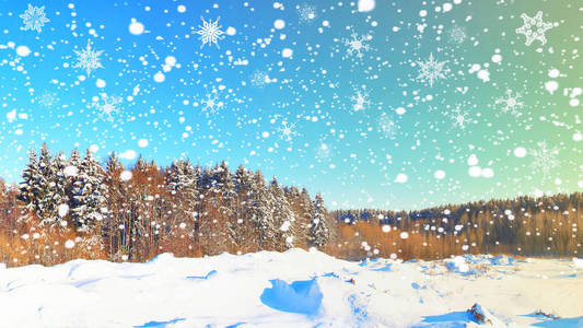 圣诞冬季背景。雪花在白雪皑皑的森林。圣诞场景的冬天性质。在森林里的雪