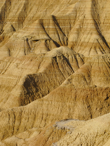 真正的bardenas