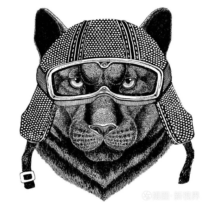 黑豹美洲狮美洲狮野生猫穿着老式摩托车头盔纹身, 徽章, 标志, 标识