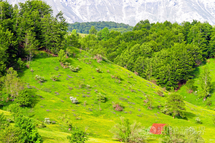 Bosnia hills