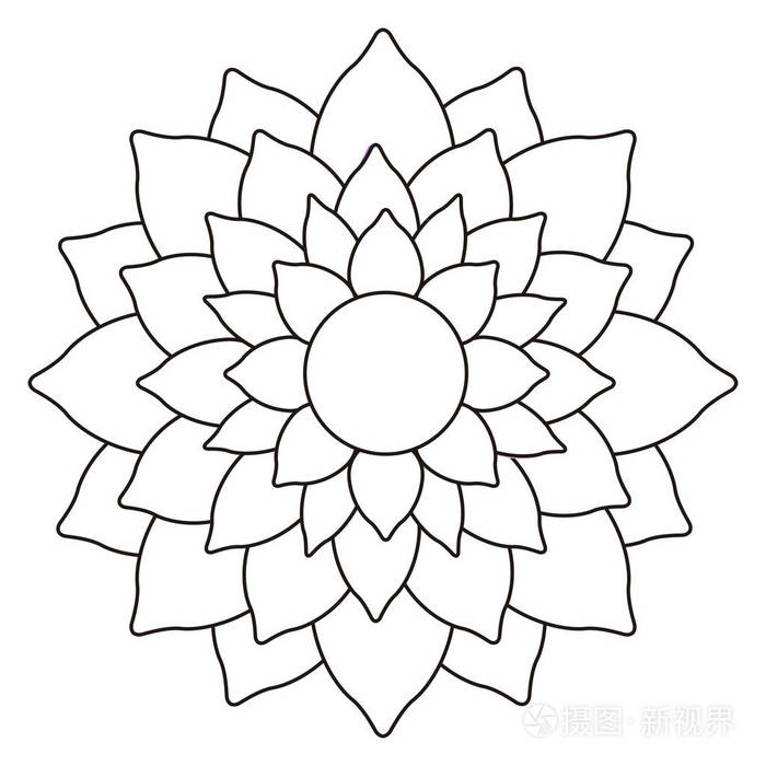 孤立的花朵轮廓