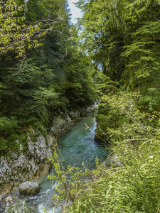 观赏著名的 tolmin 峡谷