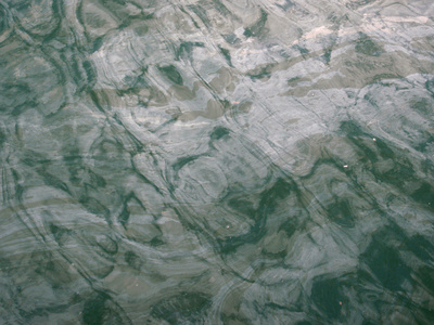 绿溪水面浮油图片