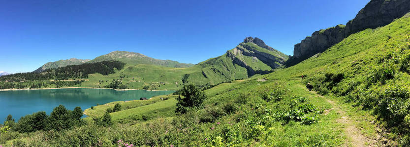 湖中绿树山