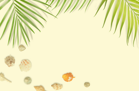 与热带树叶框架软黄色背景上的贝壳