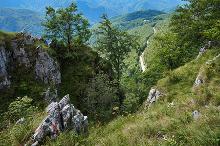 与石灰岩山地景观