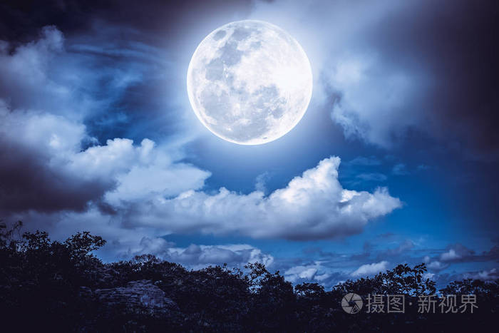 树和夜间天空布满乌云,收获明月的剪影
