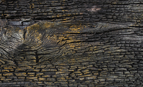 老黑金色树皮木背景墙纹理