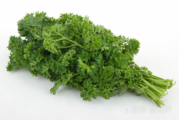 植西芹欧芹洋芫荽