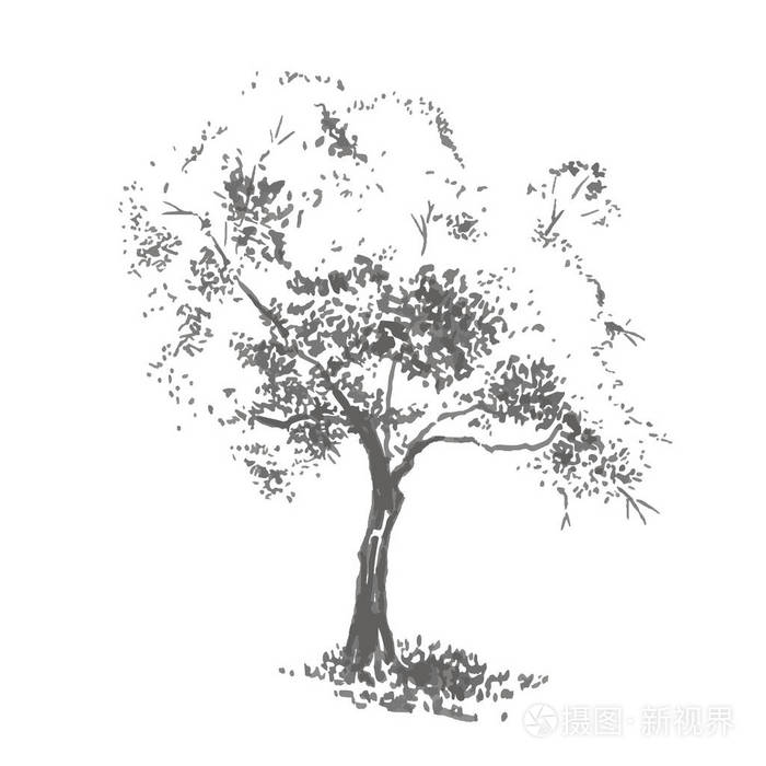 手绘的苹果树.浓淡不同的灰色的真实感,素描画与油墨刷