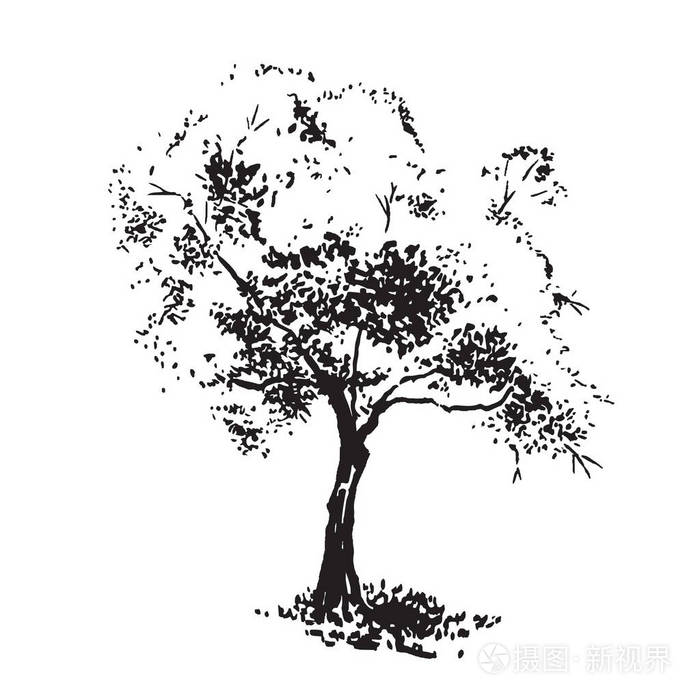 手绘的苹果树.黑与白形象逼真,素描画与油墨刷