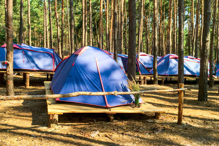 帐篷里的侦察兵或游客在森林里的木板平台