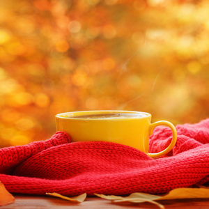 一杯热茶或咖啡上自然背景。概念秋天的心情