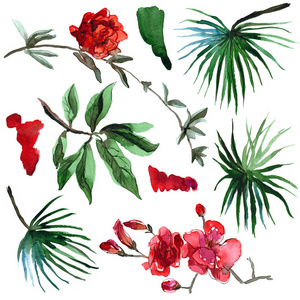 水彩手绘热带棕榈叶和异国情调的花