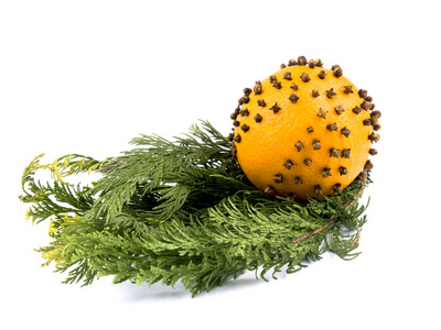 圣诞装饰橙色，有丁香和丁香树枝