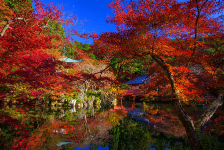 在秋天，京都醍醐寺红神社地标
