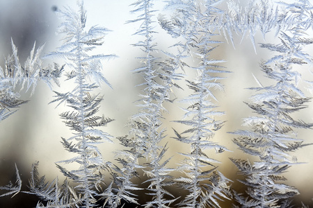冬天窗户上的霜冻图案