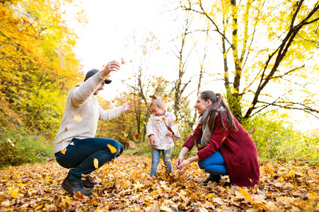 美丽年轻的家庭，在秋天的树林散步