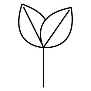叶子植物生态学图标
