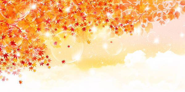 枫叶秋天风景背景