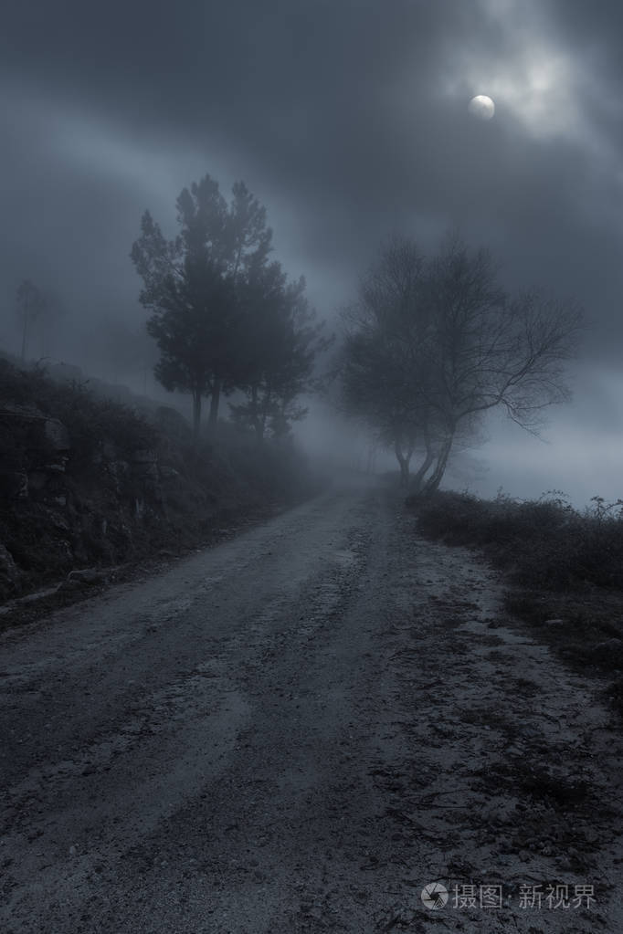 在夜间雾山路